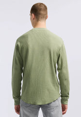 Hedge Green