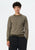 Fern