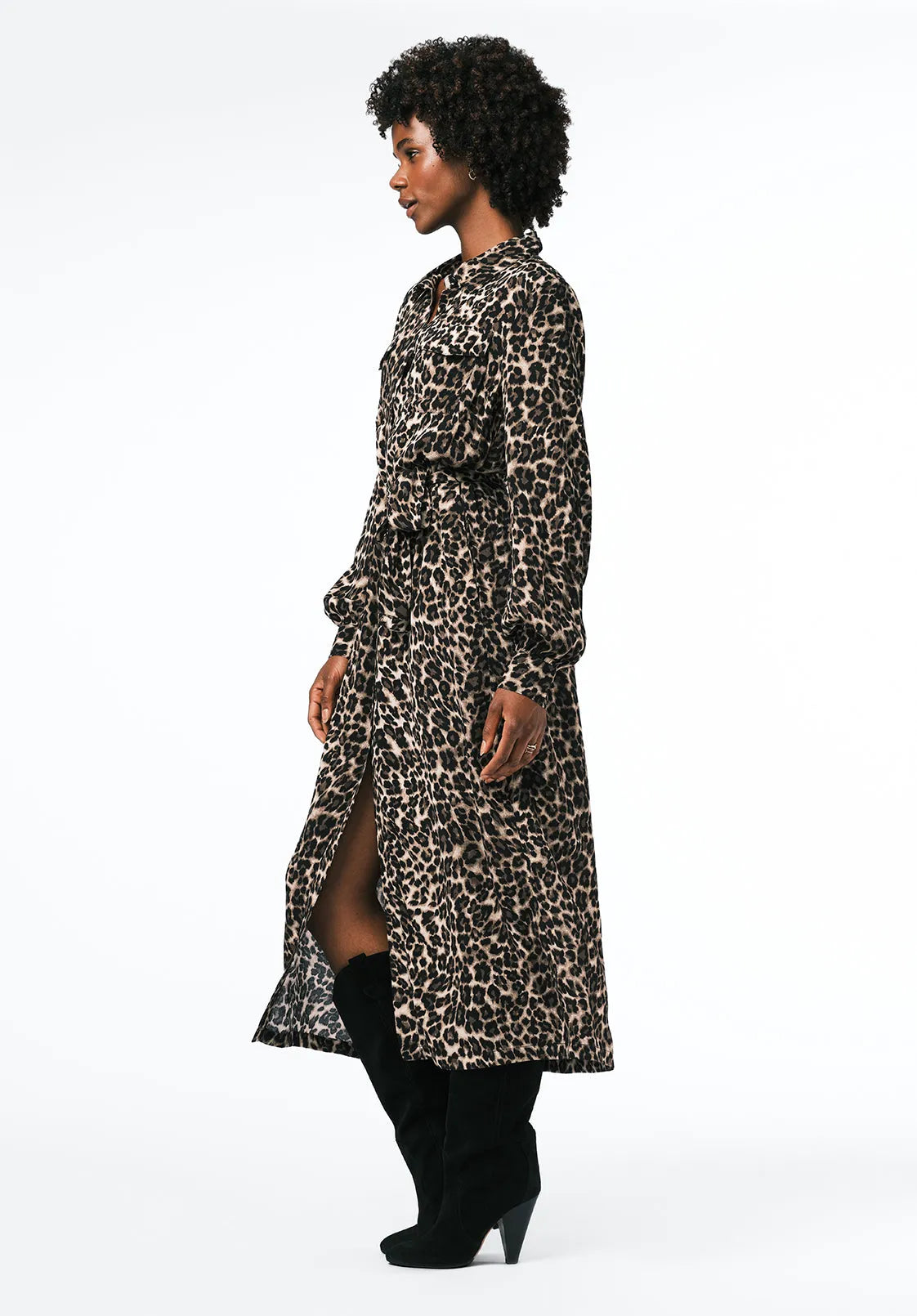 Leopard